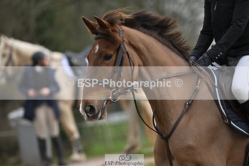 250321A-141915-01134 - Cls 5 British Novice and 90cm Open