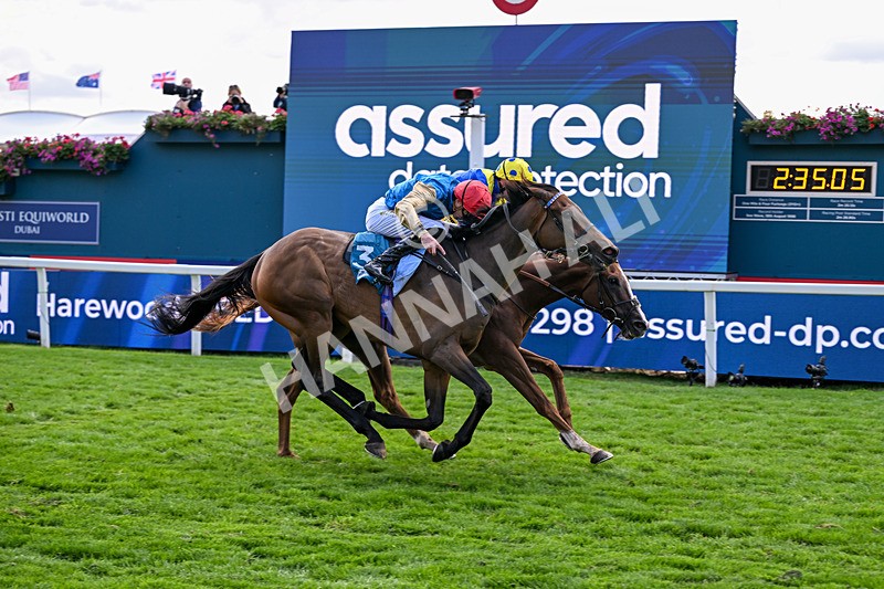 210826-Race 5-Plage De Havre-6779 - Race 5 16.10pm Assured Data Protection Handicap