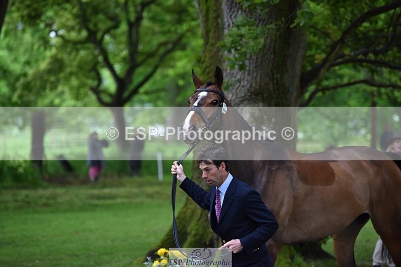 240522-164814-01168 - 222-KILCANNON_SENSATION-Harry_Meade