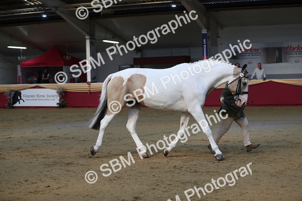SBM_01340 - Class 3a Area IH Pre Vet