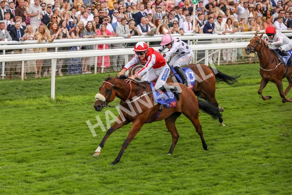 270724-Race 1-Night On Earth-4614 - Race 1 2.05pm Sky Bet 'Jump Jockeys' Nunthorpe' Handicap