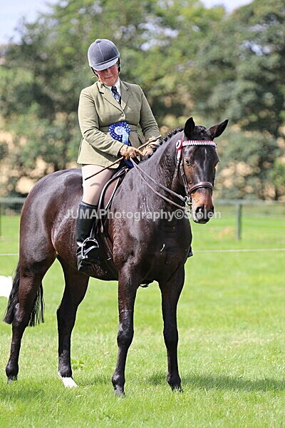 SIAL7507 - championships