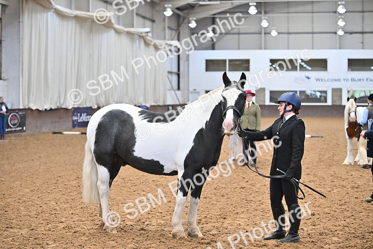 SBM_000041 - Class 1 - In Hand Cob