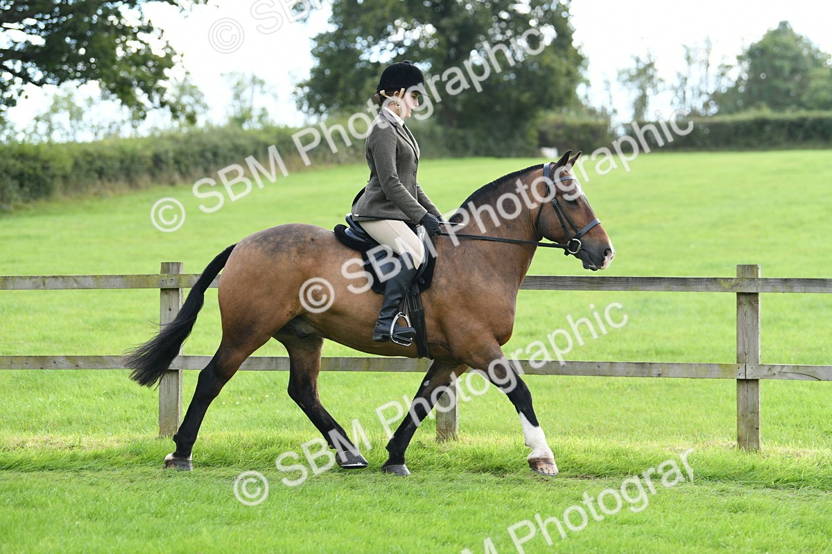 SBM_46726 - S12 - Family Horse & Pony
