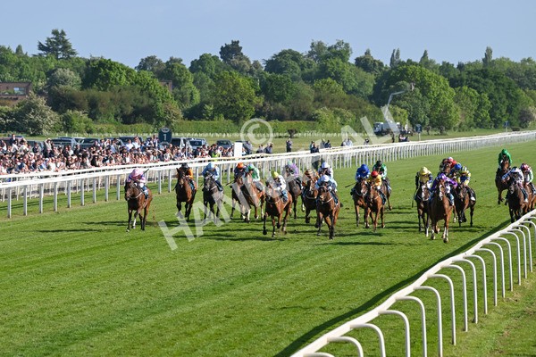 160525-Race 7-Delicacy-7407 - Race 7 5.30pm Yorkshire Equine Practice Handicap