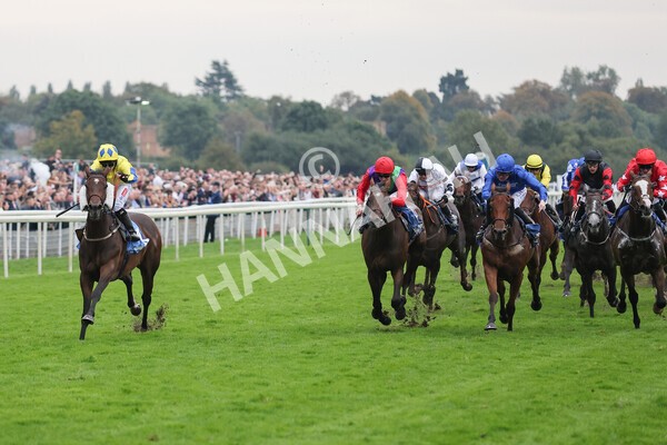 yr09102021r7-20 - Race 7 5.00pm Coral Proud Sponsors Of British Racing Finale Handicap
