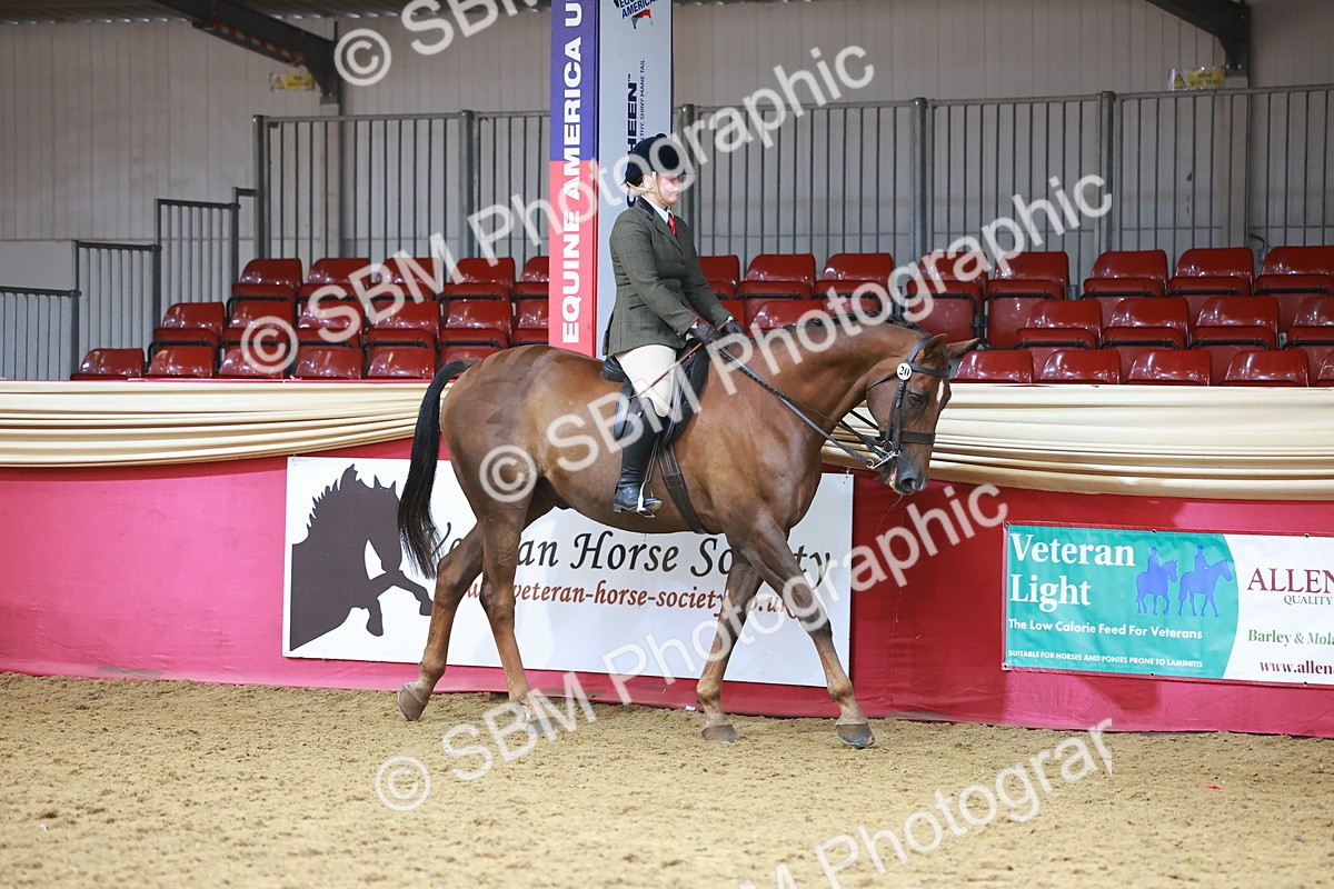 SBM_09571 - Class 102 - HOYS Veteran Qualifier - Ridden Veteran