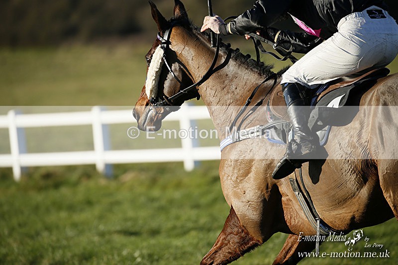 PtP 121220 504 - Avon Vale Races Larkhill 12/12/20