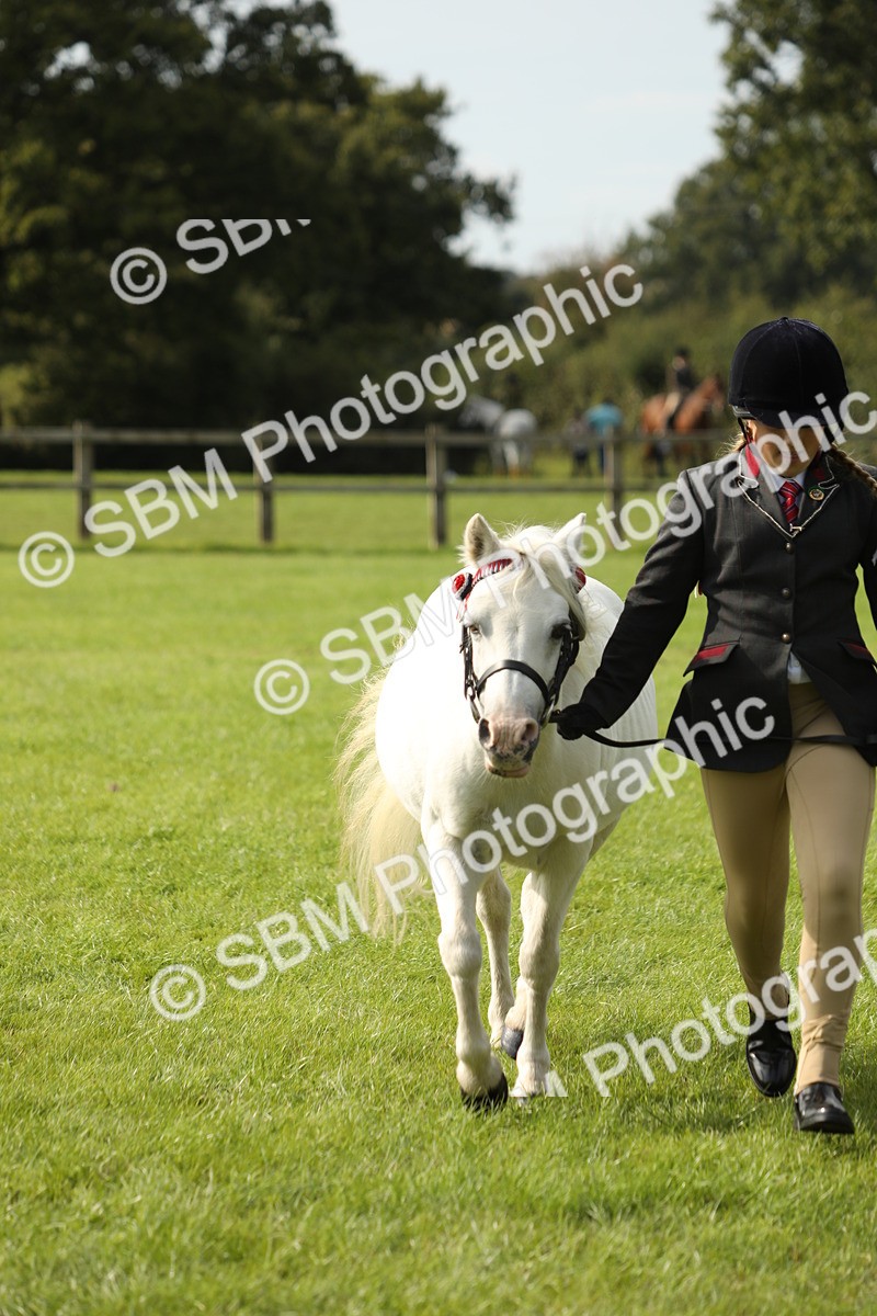 SBM_68682 - S40 - Junior Handler 9-12 Years