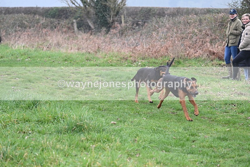 WJ7_0291 - Line 2 cam A