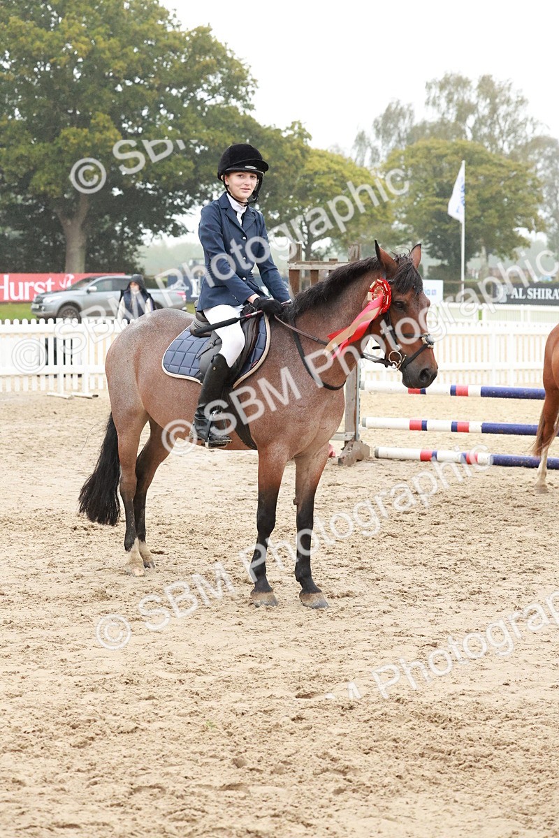 SBM_73552 - Supreme Championship Junior Pony 60cm & 65cm