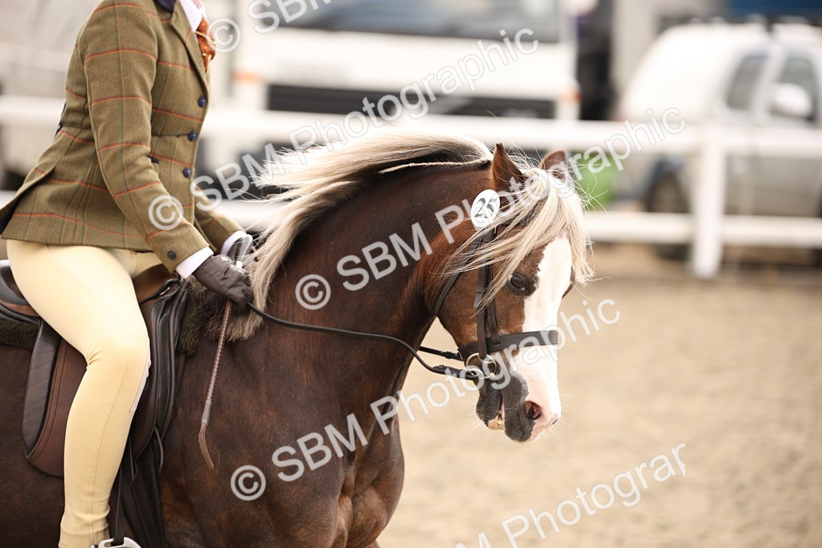 SBM_12589 - Class 405b - M&M Working Veteran 50cm 20+