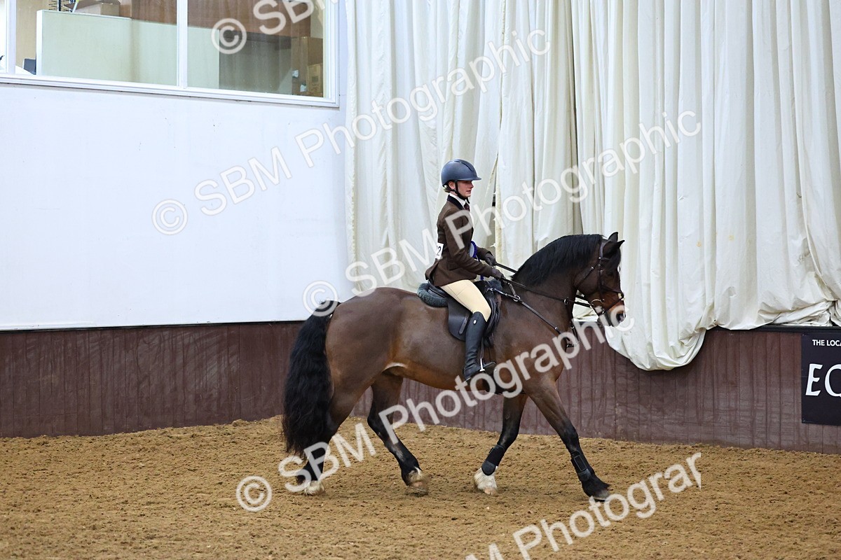 SBM_003707 - Class 37 - 80cm Training Stakes