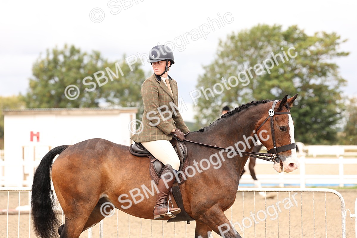 SBM_02768 - Class 53 - Ridden Competition Horse/Pony
