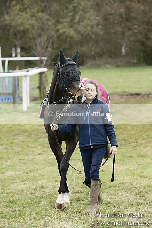 PtP 110318 91 - Hampshire Hunt Point-to-Point Hackwood Park 11/03/18