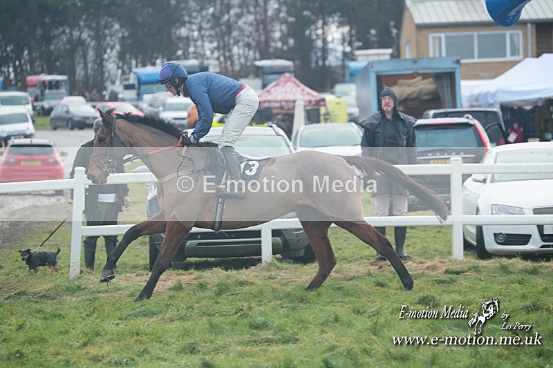 PtP 101223 773 - New Forest Hounds PtP Larkhill 10/12/23