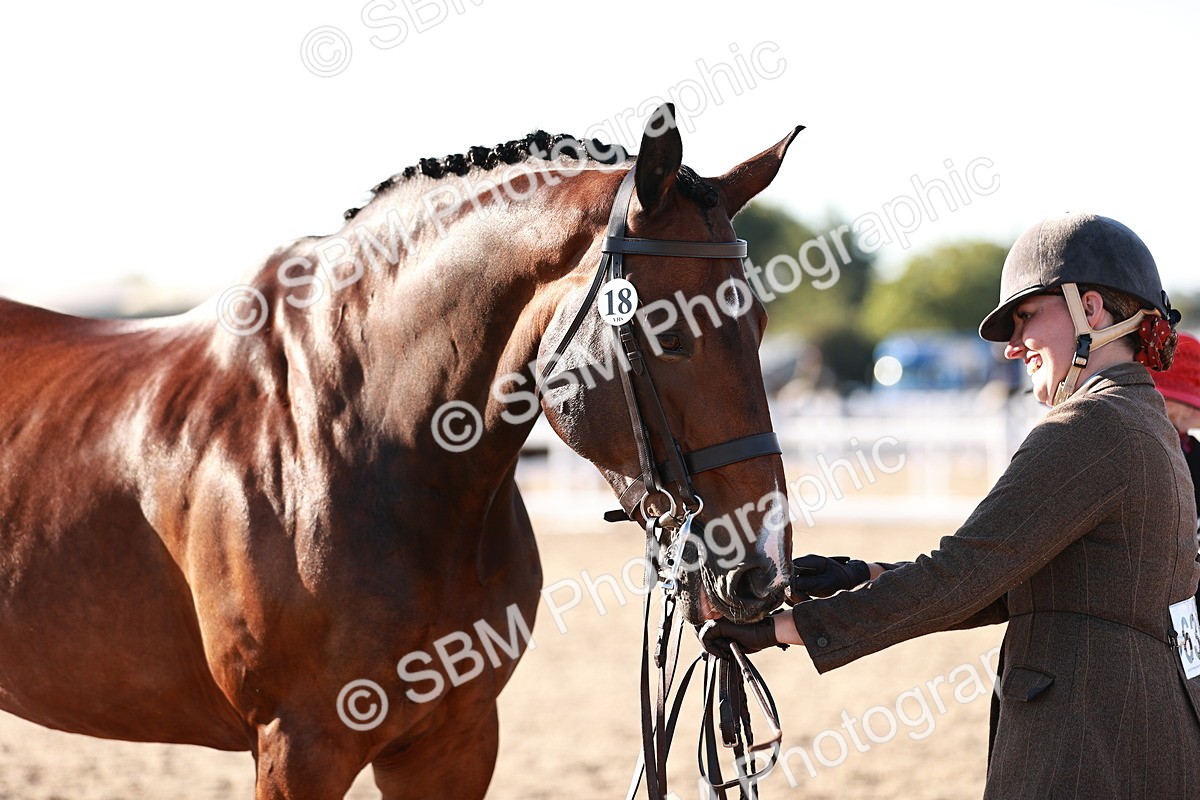 SBM_11187 - Class 401 - IH  Veteran horse