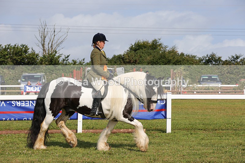 1X9A3431 - Class 28: Ridden Native/Trad Coloured Pony