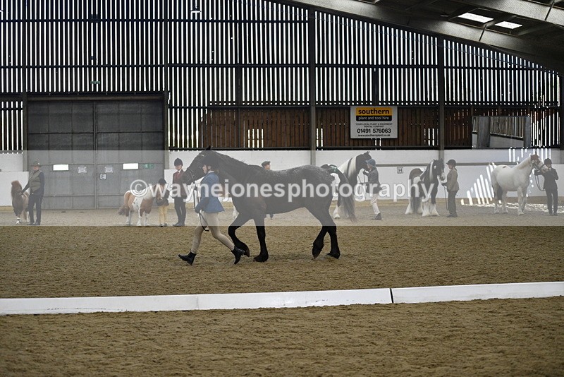 WJ5_4836 - Class 7 In hand coloured / odd coloured