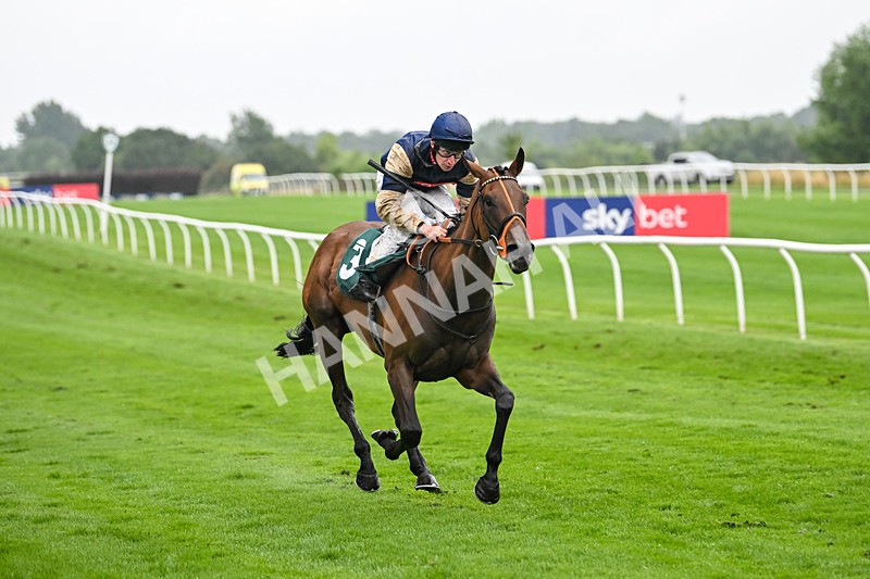 230725-Race 5-Bosphorus Rose-0471 - Race 5