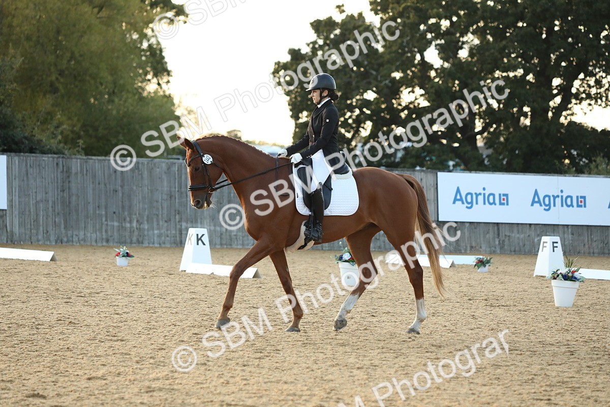 SBM_31250 - D20 - Grand Tour Championship - Elementary 44