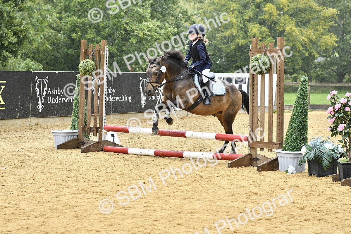 SBM_70878 - J3 - Mini Tour Junior Pony 40cm championship