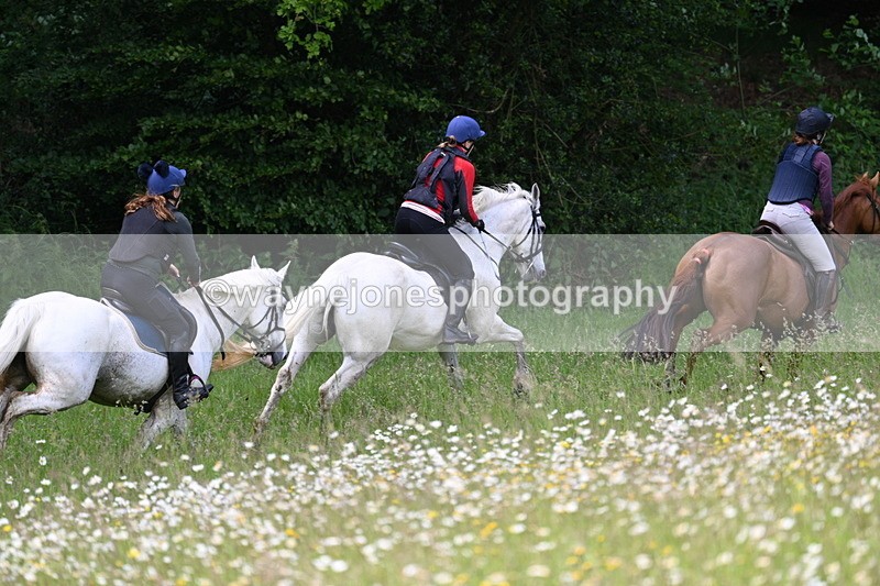 WJ7_8554 - Group 1 10am