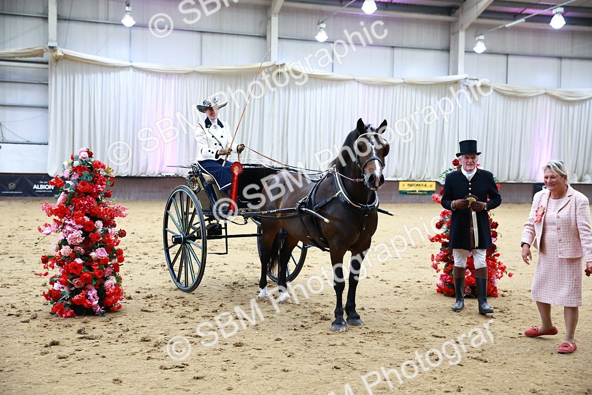 SBM_000226 - Class 3 - Alison Thomas Memorial Lady Whip