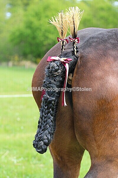 SIAL2826 - Ring 3 and 4