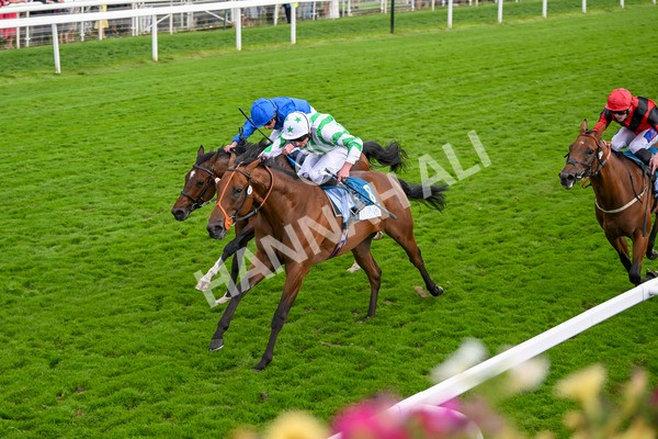220824-Race 6-Angel Hunter-7850 - Race 6 4.45pm sensory-junction.co.uk Autism Awareness EBF Stallions Nursery Handicap