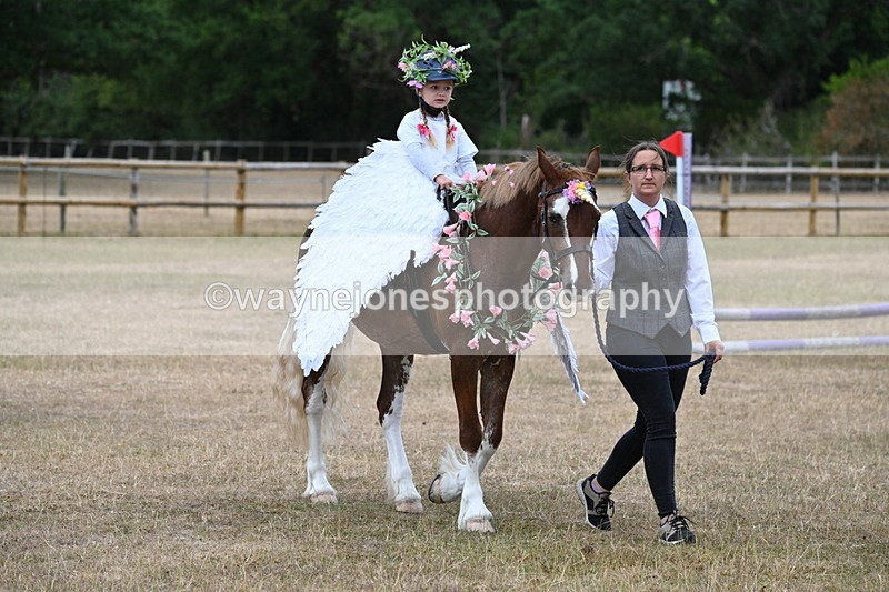 WJ6_8601 - Class 11 Fancy Dress