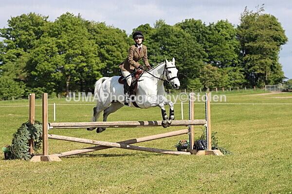 IMG_4814 - Working Hunter