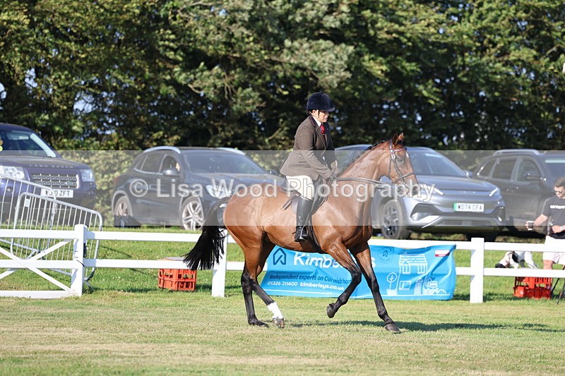 3E7A4936 - Class 1: Rising Star Small Hack/Riding Horses