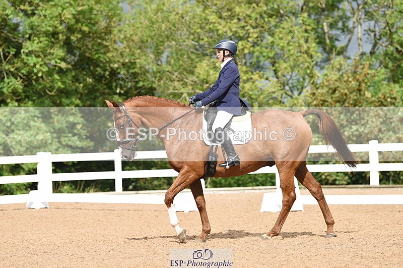 230912A-111200-00529 - Cls 7 Elementary 40