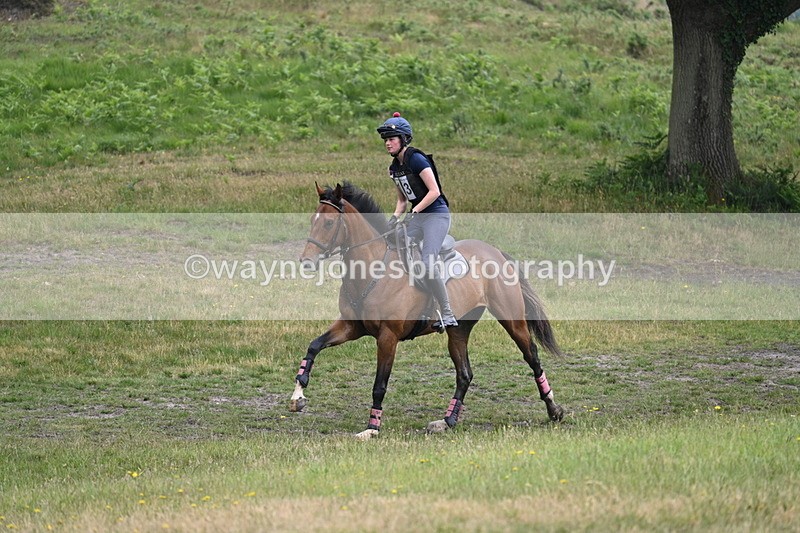 WJ7_9091 - Time 11:14 to 11:22