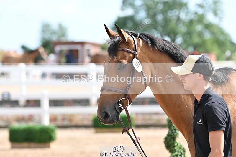 240717A-151550-02699 - Trot Up 3pm to 4pm