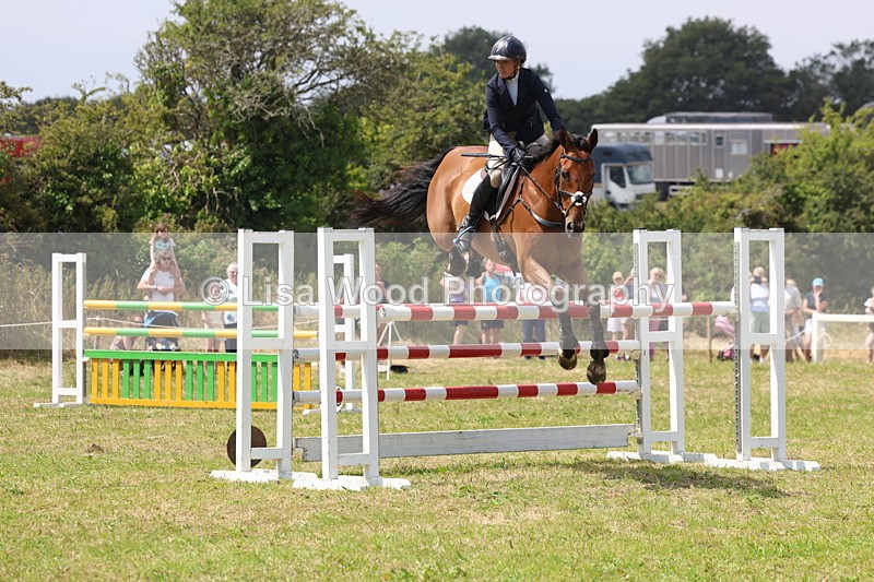 3E7A3427 - Class 10: Senior Foxhunter/1.20 open