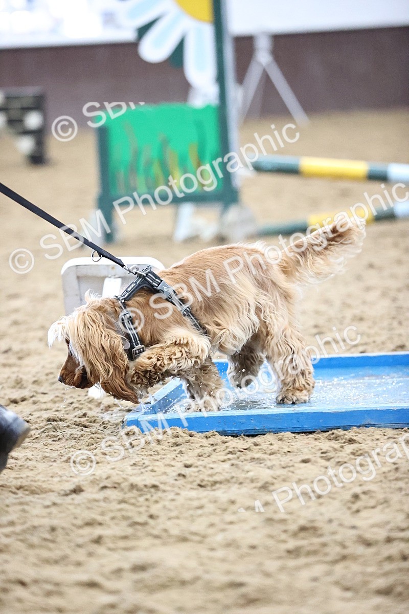 SBM_001415 - Class 3 - Horse & Hound 60cm