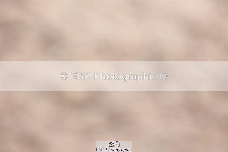 240714A-150032-02566 - Cls 14-15-16  CR & 60cm