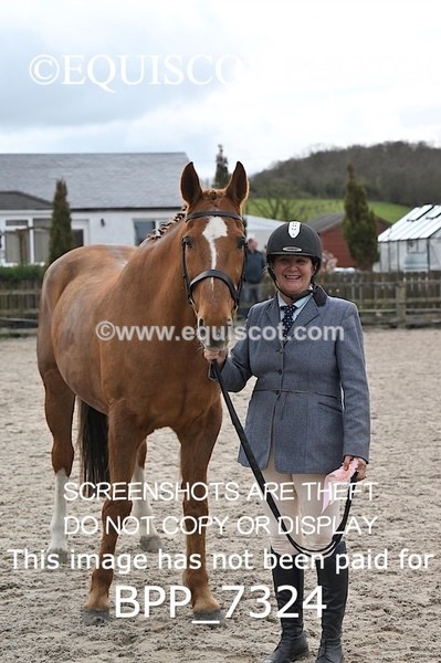 BPP_7324 - RING 1  (RIDDEN HORSES / IN HAND / VETERAN ETC)