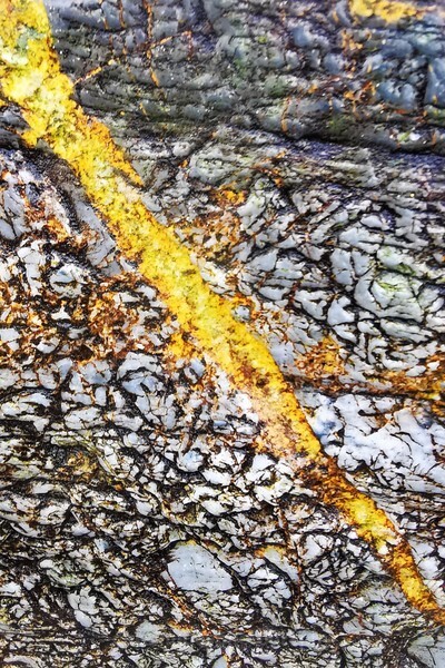  - Detail in Landscape