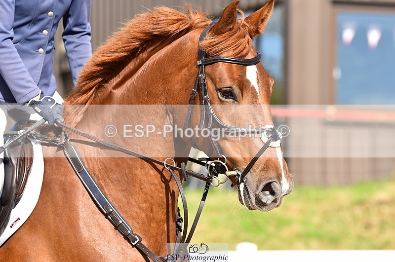 231014A-133704-05141 - Cls 14 95cm Grand Prix