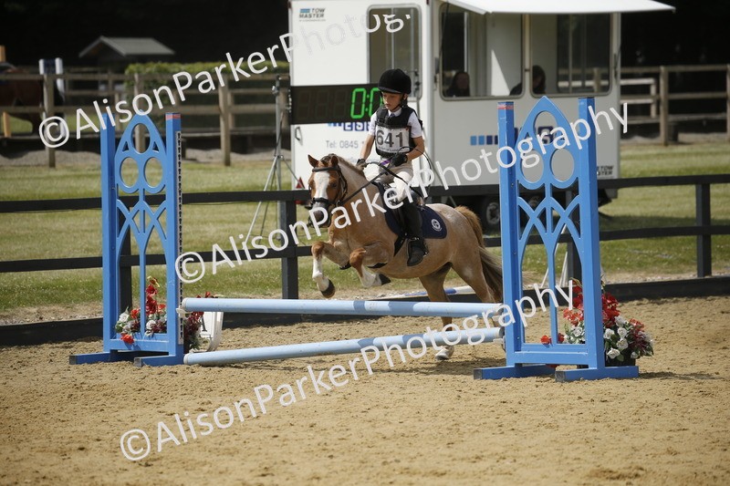 20250622-4068 - 50cm