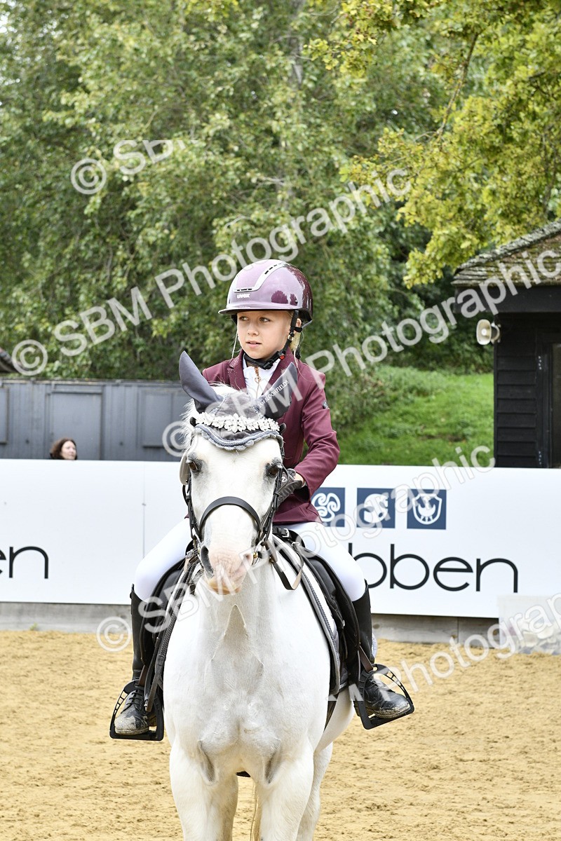 SBM_66195 - J2a mini Tour Junior Pony 30cm Championship