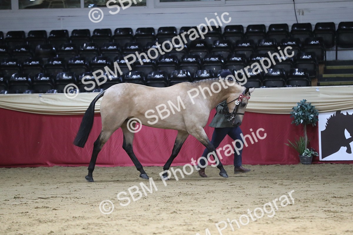 SBM_06522 - Regional IH Champ