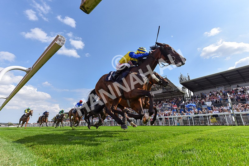 240825-Race 2-Smart Vision-0185 - Race 2