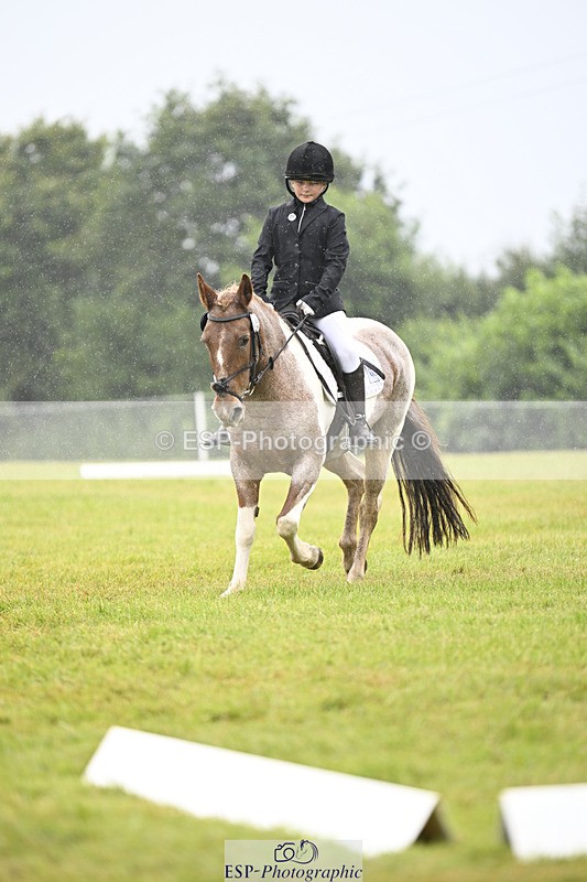 240824X-100718-21518 - D70 Section A and B 9.30 to 10.40