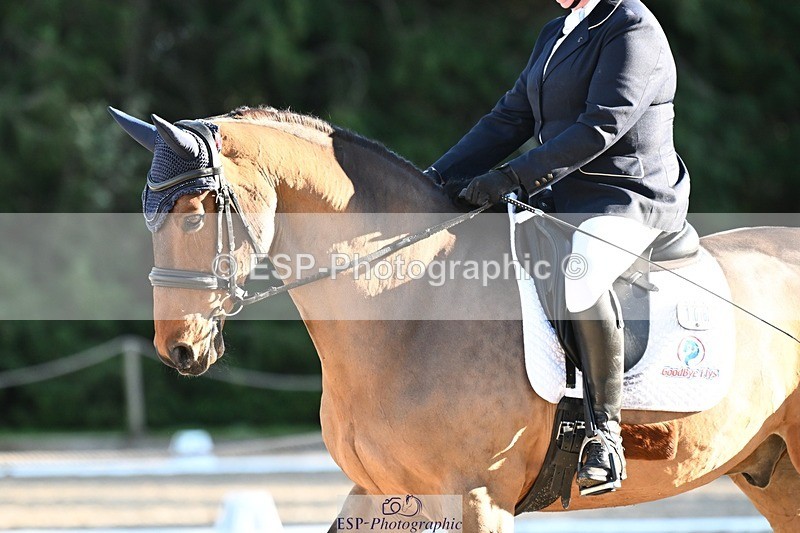 231110-132923-00953 - Cls 4 Novice 39Q