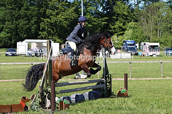 IMG_4067 - Working Hunter