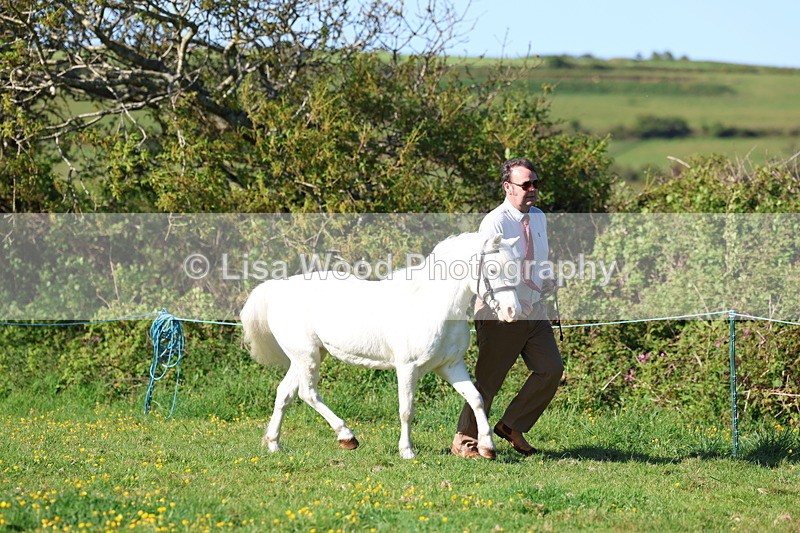 3E7A8354 - Class 12: M & M Small Breeds